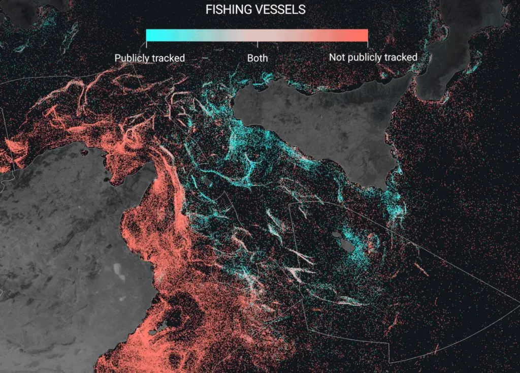 GFW Fishing trade Visualization