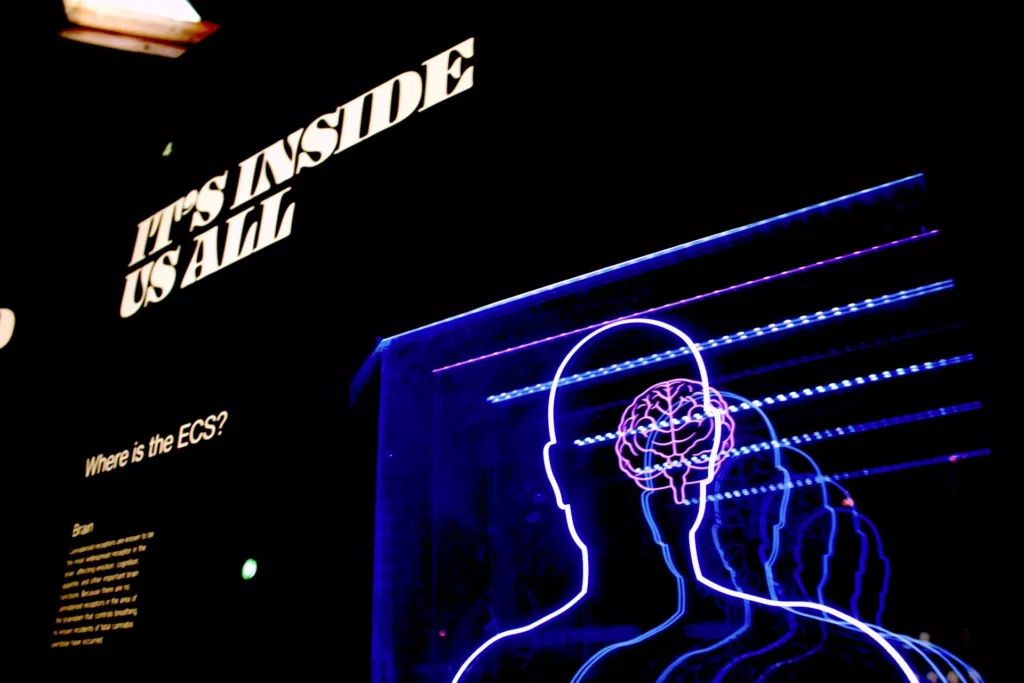 an Image representing a human brain and text "Its Inside Us All"