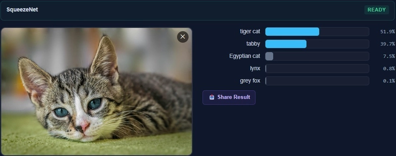 C# Neural Networks in the Browser: A Surprising New Engine SqueezeNet classifying a cat photo in the browser