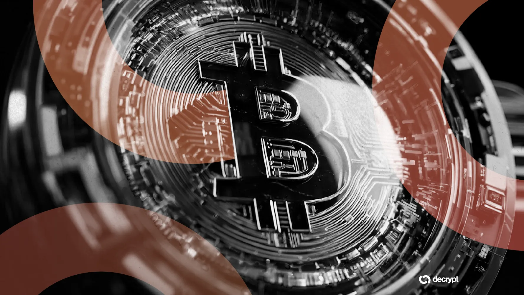 Crypto Trading Cards: Win Bitcoin Inside These $37 Packs Source: Decrypt