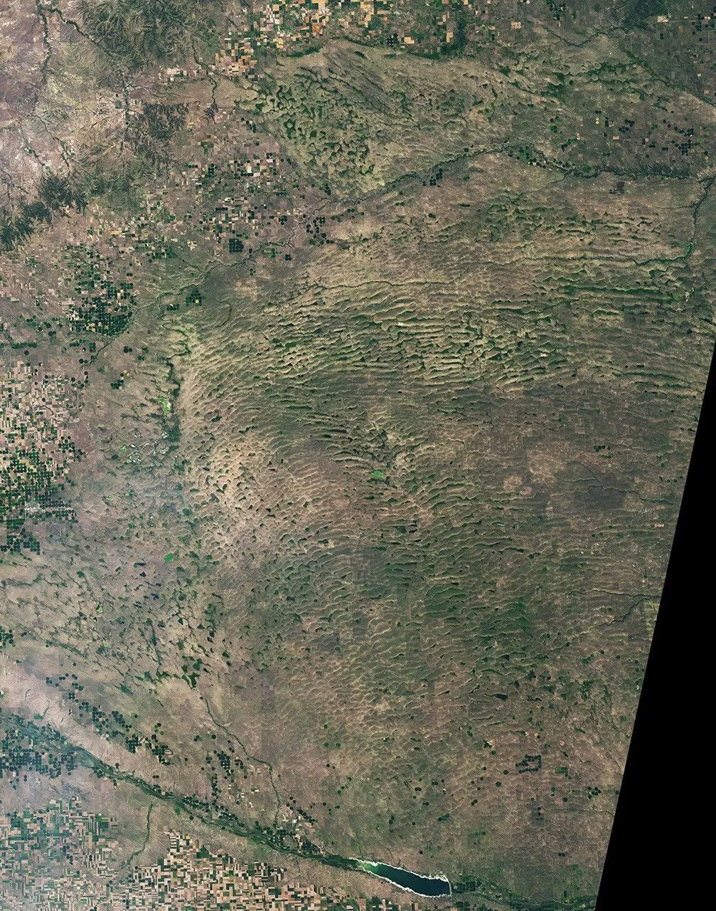 Nebraska Sandhills Explained: The Biggest Dune Field in the Western He The landscape in northwestern Nebraska has a rippled appearance, with tan parallel ridges running from left to right and