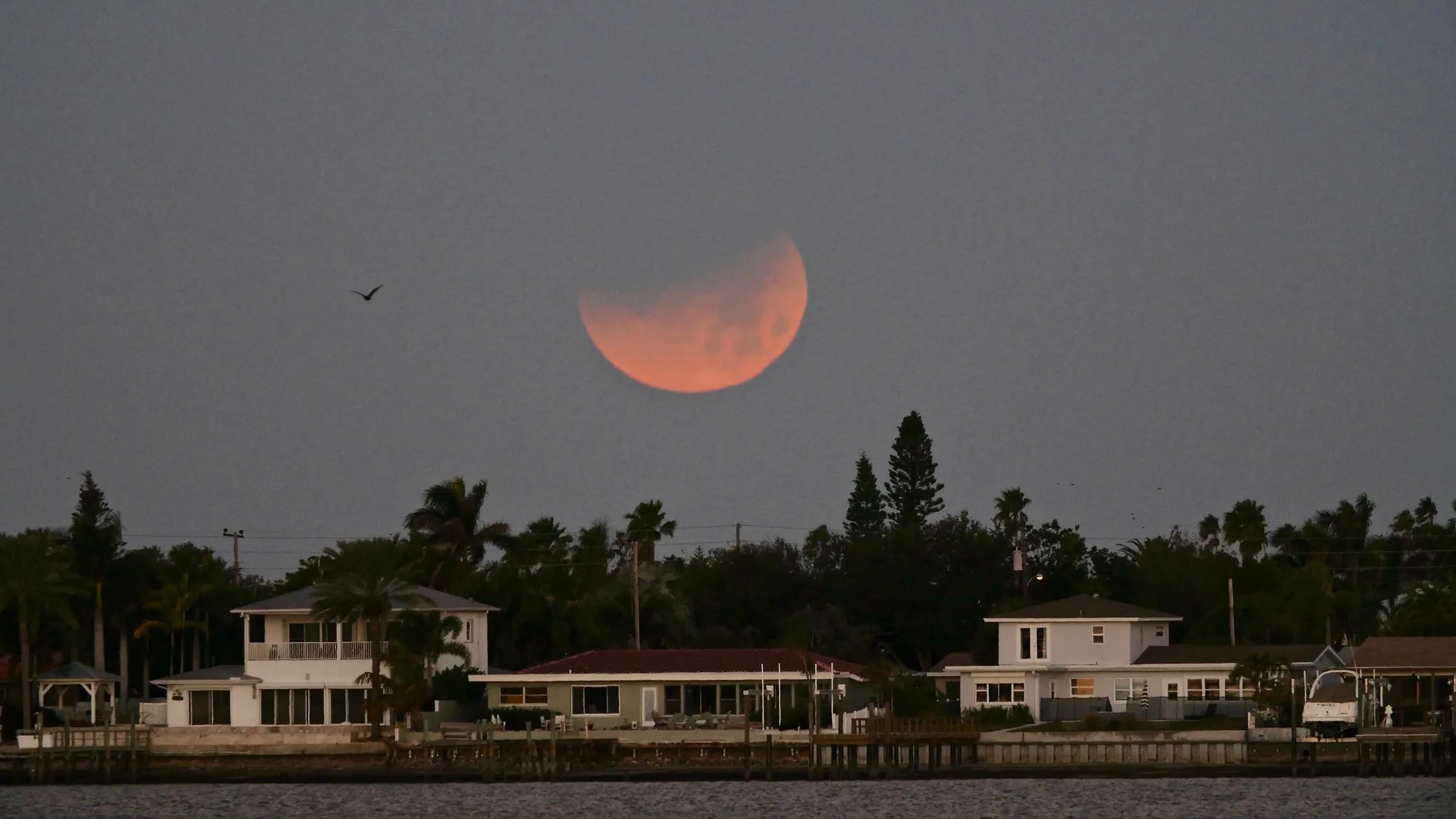 August 2026 Lunar Eclipse: Best Views of a Stunning 96% Blood Moon a large partly illuminated rusty red hue moon close to the horizon.