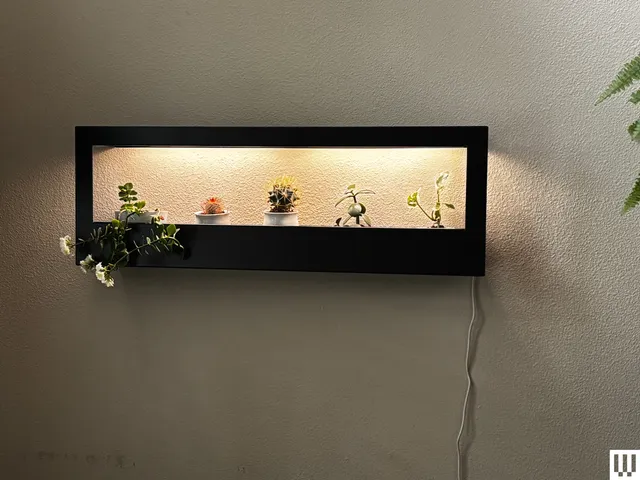 Best Gifts for Plant Lovers in 2026: 19 Expert Picks Image may contain: Plant