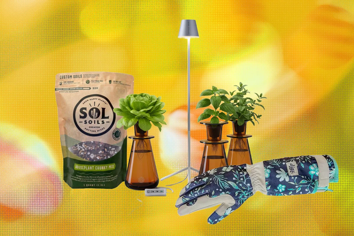 Best Gifts for Plant Lovers in 2026: 19 Expert Picks gifts for plant lovers — Image may contain Plant Potted Plant Clothing Glove Lamp Jar Planter Pottery and Vase