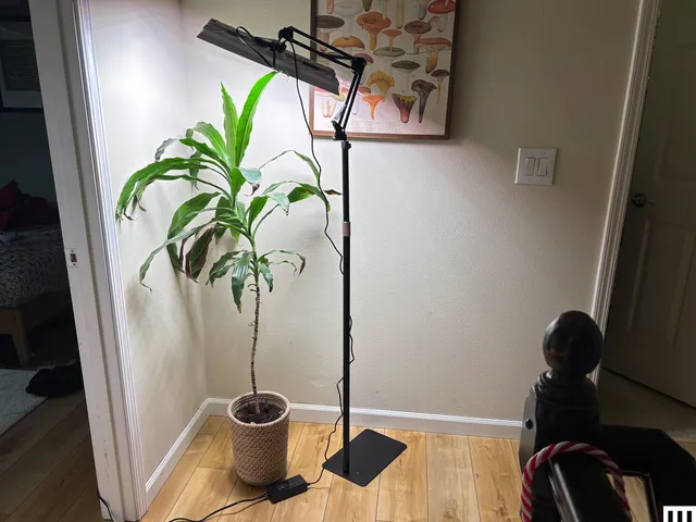 Best Gifts for Plant Lovers in 2026: 19 Expert Picks Narrow lamp hovering over a tall house plant