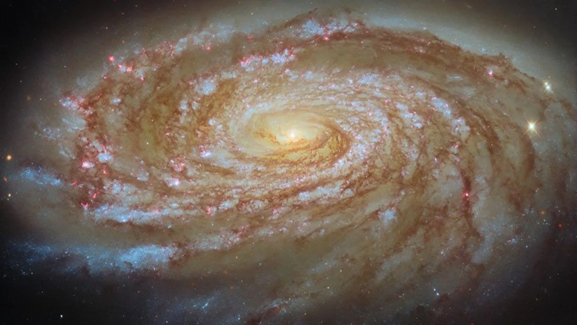 Hubble Space Telescope Captures M88 Spiral Galaxy in New Detail A swirling galaxy has swirls of light blue, red, brown, and speckles of stars.