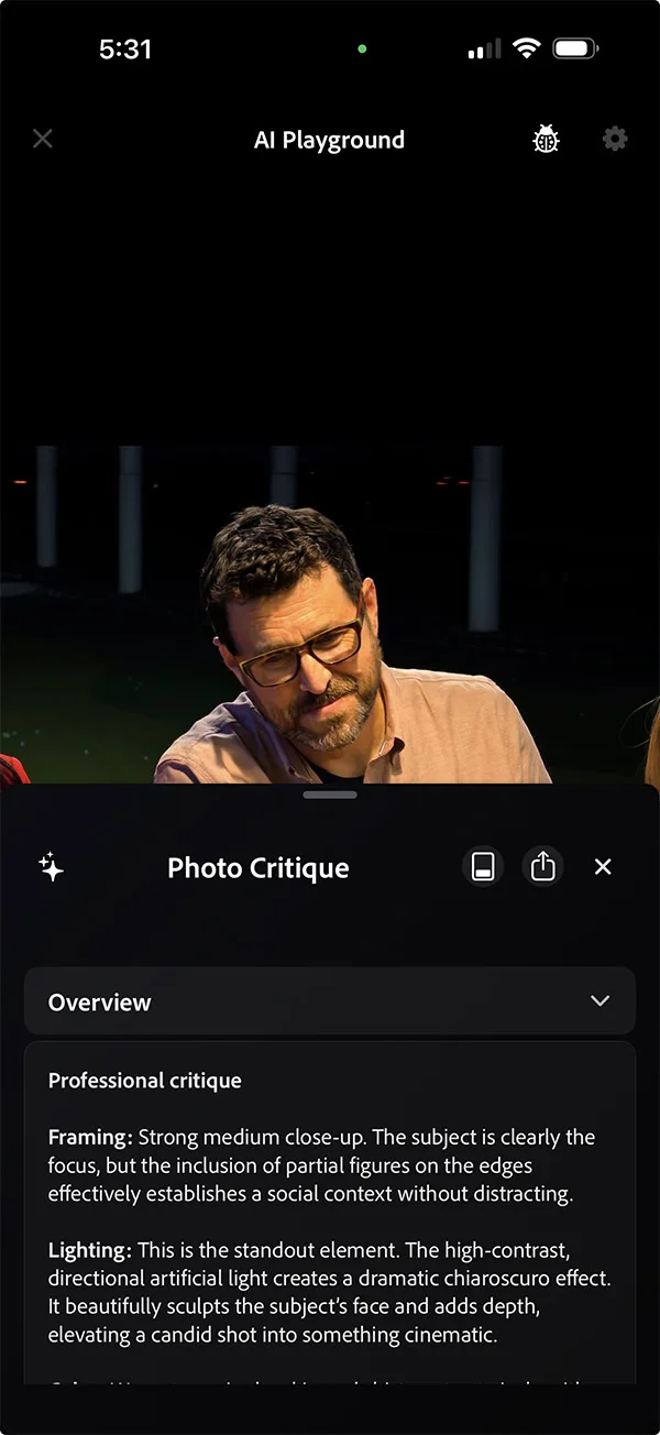 Adobe Gives Project Indigo AI a Powerful New Editing Test ai playground photo critique image1