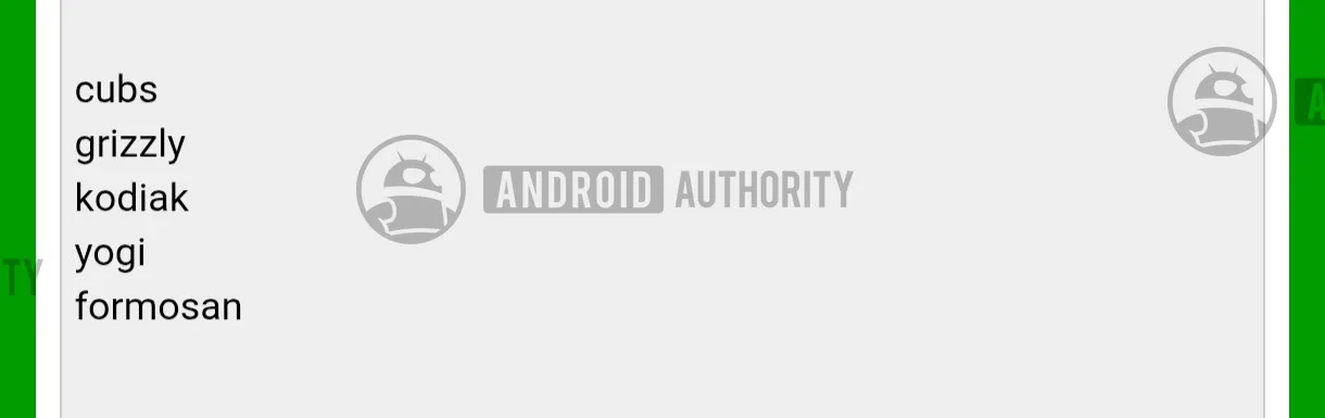 Pixel 11a Clue Appears in Google’s Own Phone App Google Pixel 11a codename watermarked
