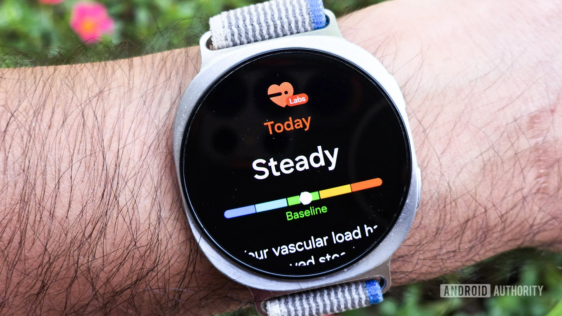 Samsung Galaxy Watch Drops Vascular Load — Here's What's New Galaxy Watch Vascular Load — samsung galaxy watch 8 vascular load